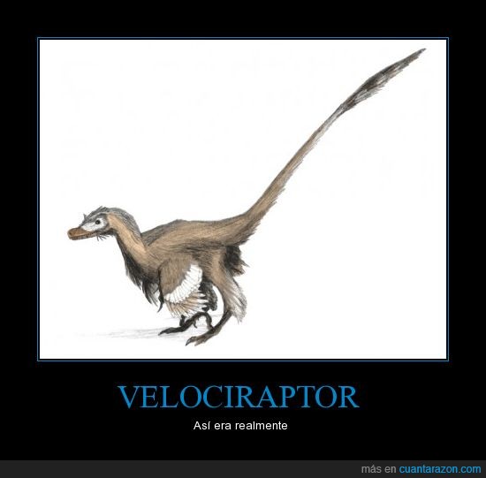 alas,diferente,dinosaurio,mola,pelo,velociraptor