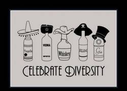 Enlace a DIVERSIDAD