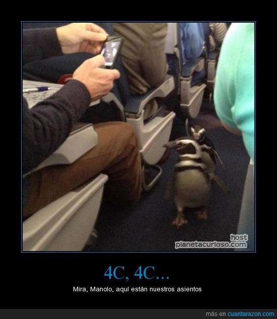 pingüino,ipod,avión