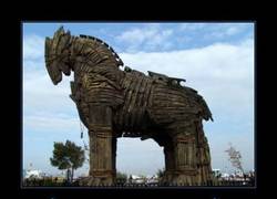 Enlace a NIÑAS QUE CON 16 AÑOS