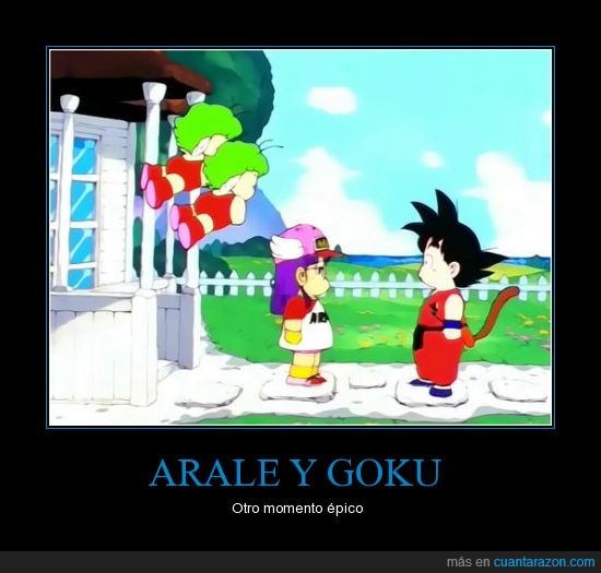 ARALE Y GOKU ARALE Y GOKU