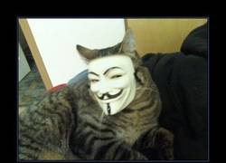 Enlace a ANONYMOUS