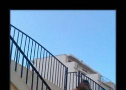 Enlace a SARAH JESSICA PARKOUR