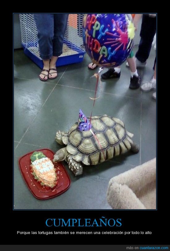 tortuga,cumpleaños,globo,comida
