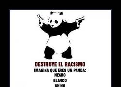Enlace a PANDAS