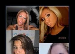 Enlace a TAN PARECIDOS