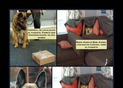 Enlace a DILE A MI MUJER