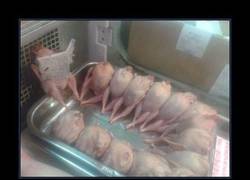 Enlace a Y COLORÍN, COLORADO