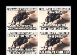 Enlace a MOSCAS