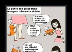 Enlace a GATOS