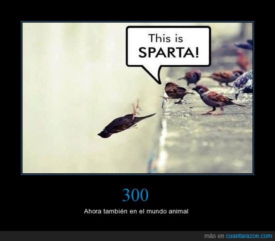 pájaro,tira,cae,300,leonidas,esto es esparta,this is sparta