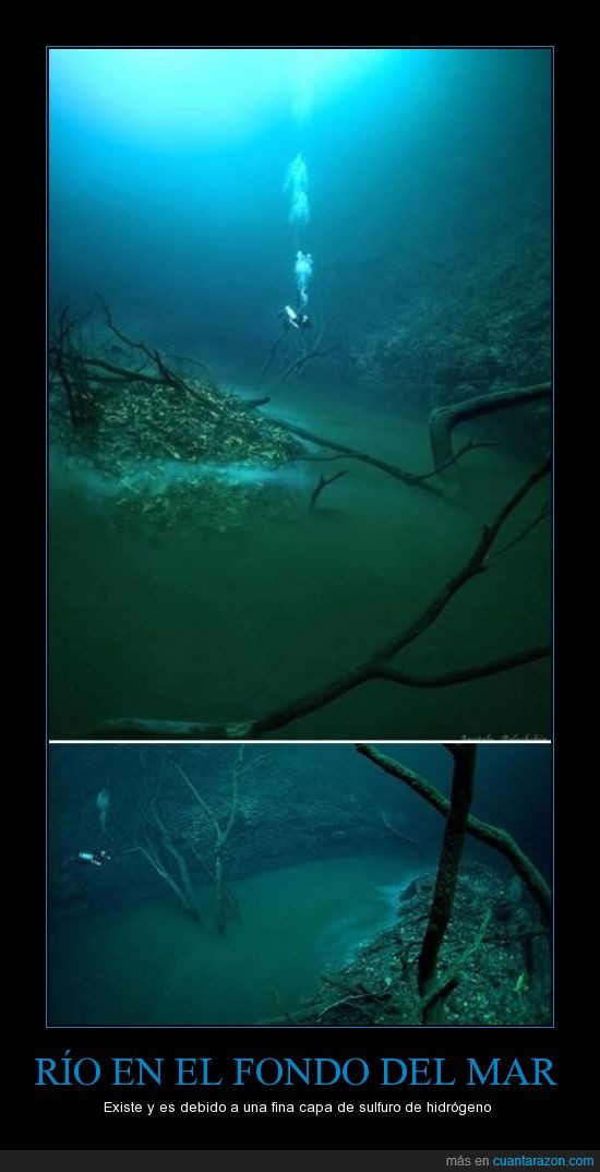 cenote angelita,mar,mexico,rio,submarino
