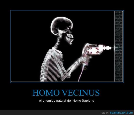Homo sapiens,Homo vecinus,no te dejan dormir,vecinos
