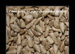 Enlace a ¿CÓMO PELAN LAS PIPAS?