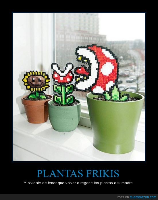plantas,mario bros,plantas contra zombies,tubo,mario