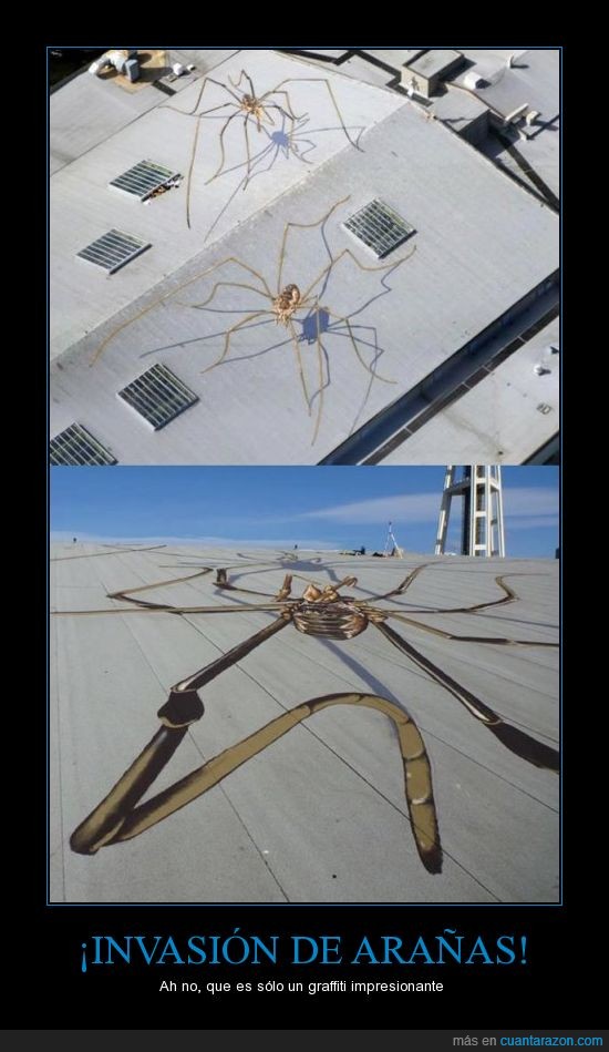 invasión,tejado,pintar,graffiti,araña