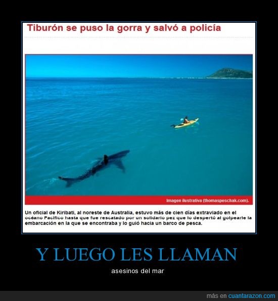imagen ilustrativa,tiburon,salva,policia,ayuda,rescate