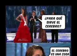 Enlace a CEREBROS