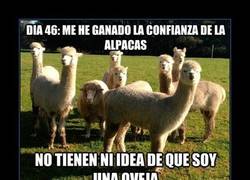 Enlace a Y DESDE ENTONCES