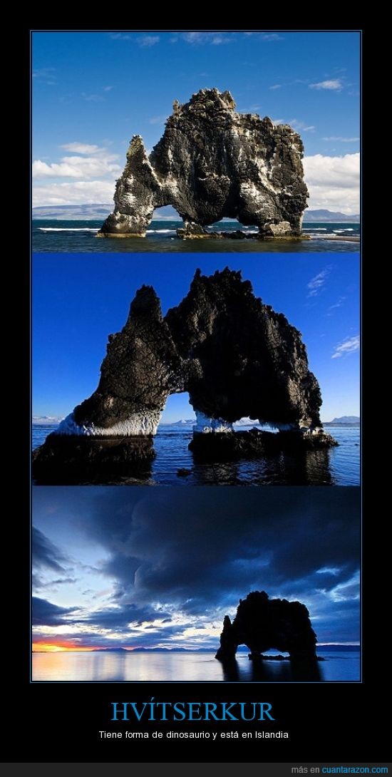 hvítserkur,islandia,forma de dinosaurio,roca