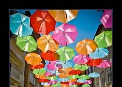 Enlace a UMBRELLA SKY