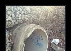 Enlace a SE VE FIABLE