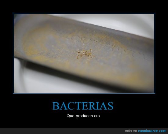 http://www.cosasinteresantes.org/index.php?option=com_content&view=article&id=711:la-bacteria-que-pr