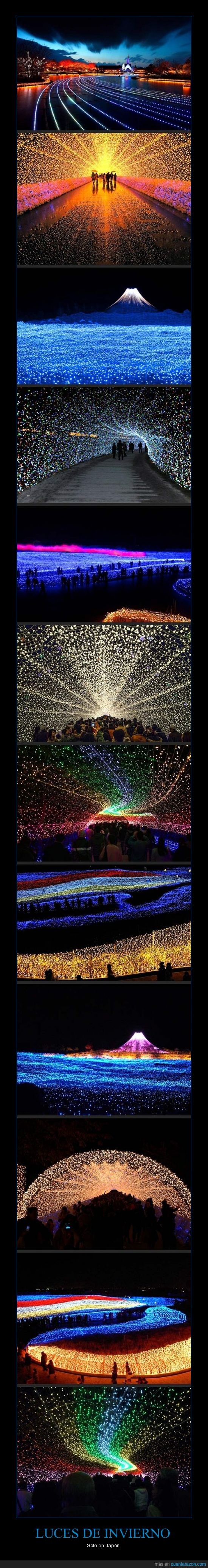 japón,luces,festival,color,luz