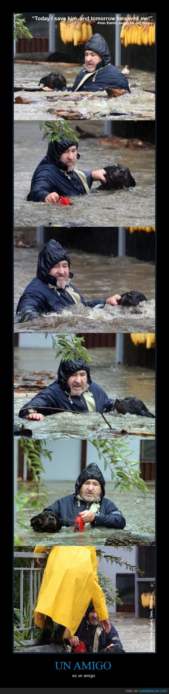 inundación,perro,salvar,Slovenia,vida