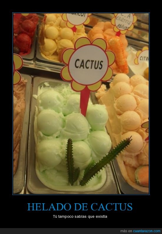 cactus,verde,helado