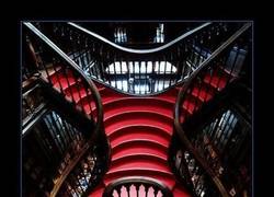 Enlace a ESCALERA DEL SABER