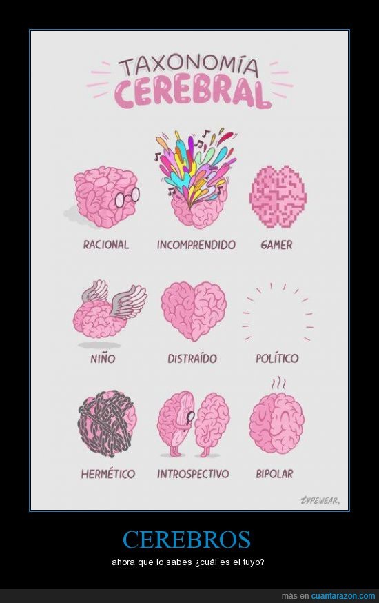 bipolar,cerebral,cerebro,forma,incomprendido,mente,taxonomía