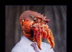 Enlace a DR. ZOIDBERG