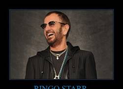 Enlace a RINGO STARR