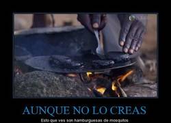 Enlace a AUNQUE NO LO CREAS