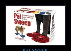 Enlace a PET SWEEP