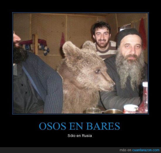 osos,bares,Rusia