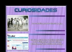 Enlace a CURIOSIDADES