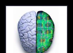 Enlace a CEREBRO HUMANO