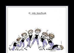 Enlace a CICLO MENSTRUAL
