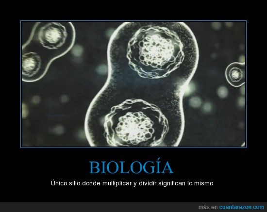 Biología,división celular,multiplicarse,halo