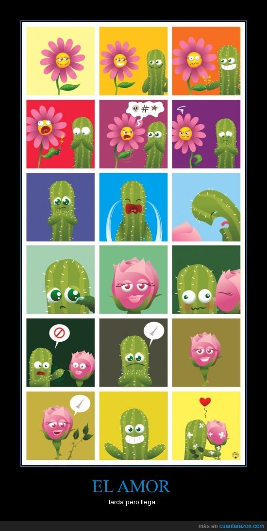 amor,cactus,complemento,espinas,flor,rosa,sufrir,tarde