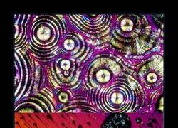 Enlace a AUNQUE NO LO CREAS