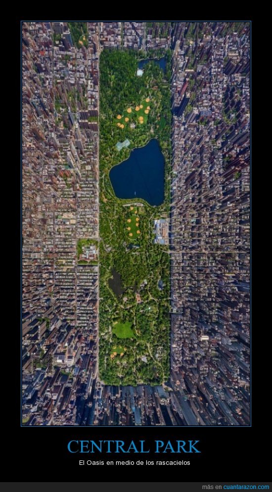 Central Park,Impactante,New York,Oasis,Rascacielos