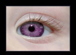 Enlace a GENESIS DE ALEXANDRIA