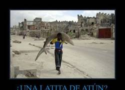 Enlace a ¿UNA LATITA DE ATÚN?