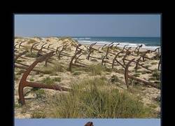 Enlace a EL CEMENTERIO DE ANCLAS