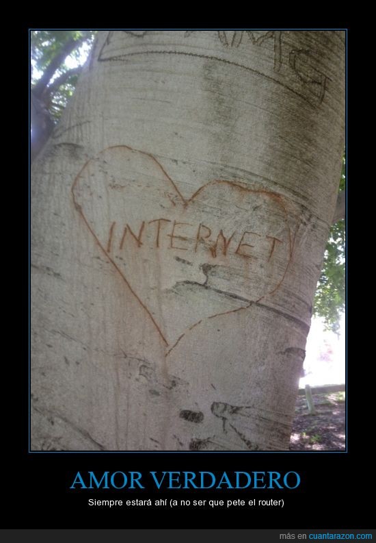 amor,arbol,internet