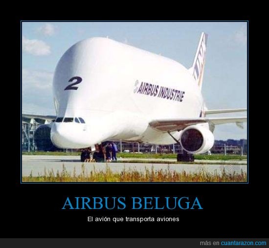 Airbus,El avión mas feo del mundo,el transportador 2.beluga,aviones,cielo