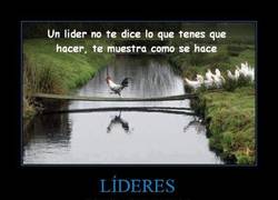Enlace a LÍDERES